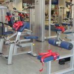 Go with newest Gym Equipments Manufacturers in India to Find Most Affordable Products